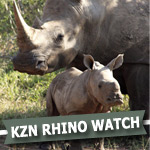 ecast-coast-radio-save-da-rhino's